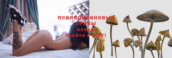 эйфоретик Верхний Тагил