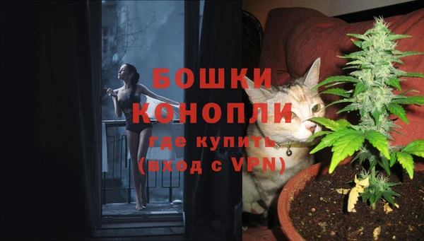 тгк Семёнов