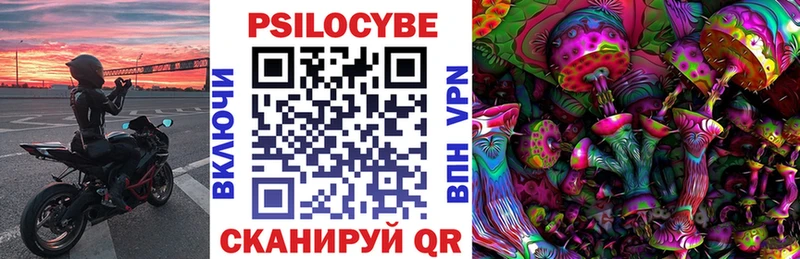 Псилоцибиновые грибы прущие грибы  Высоцк 